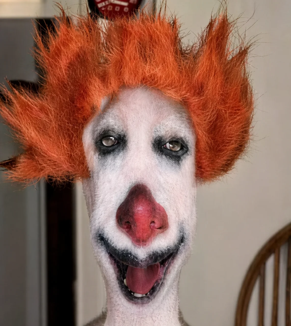 Upscale your memes by AI picture 4 of 8