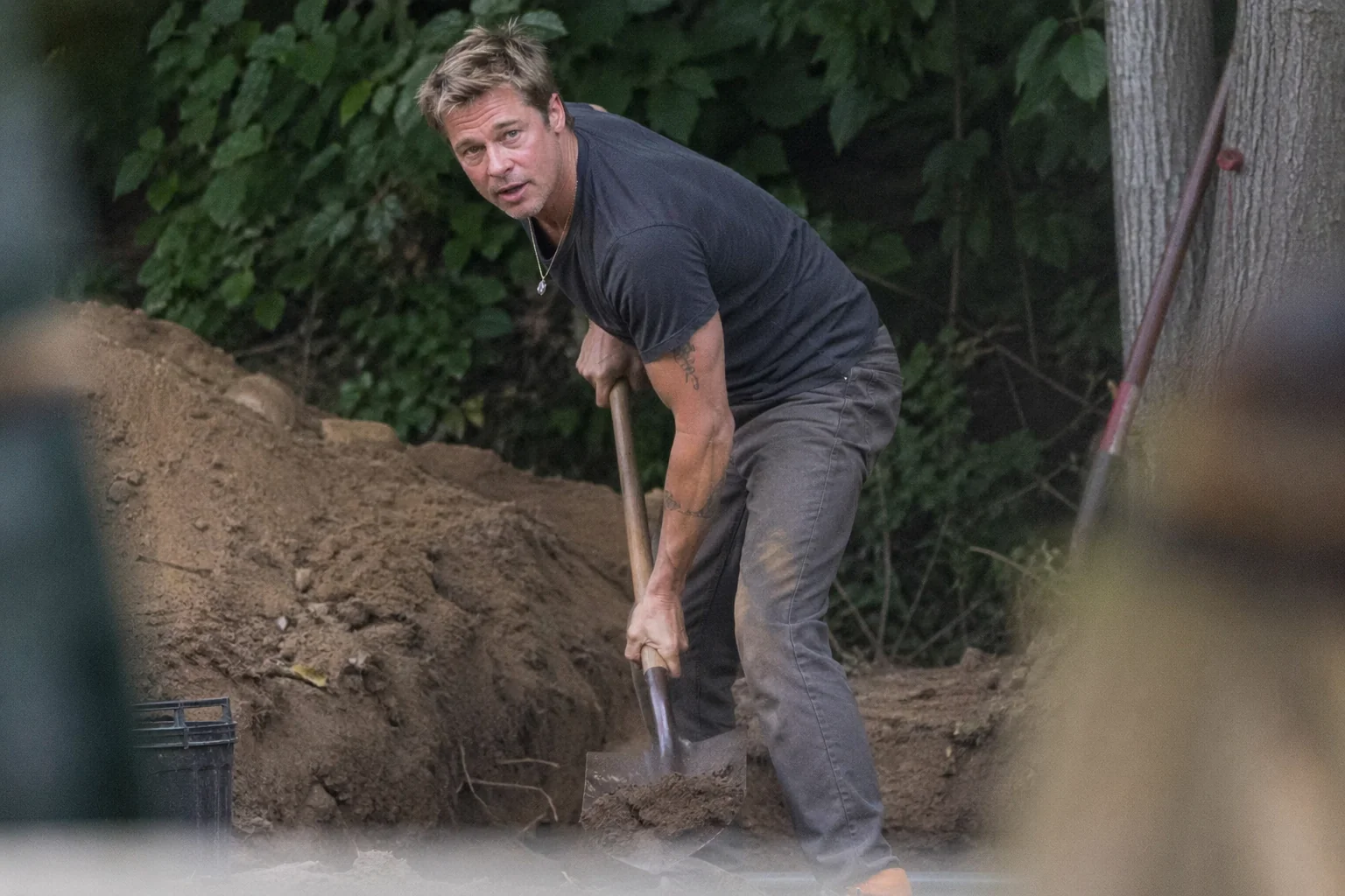 Strange Paparazzi Shots picture 6 of 10