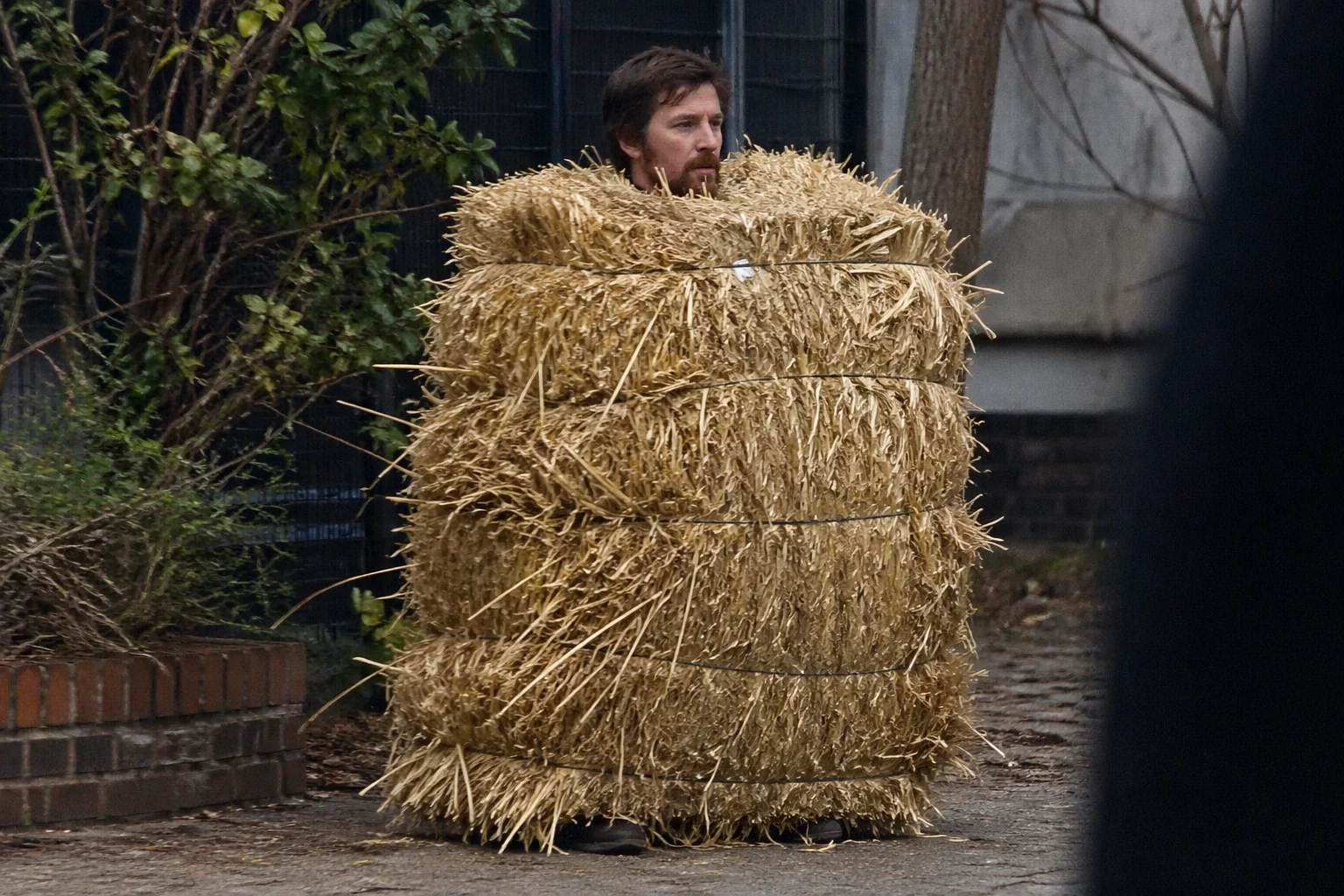 Strange Paparazzi Shots picture 8 of 10