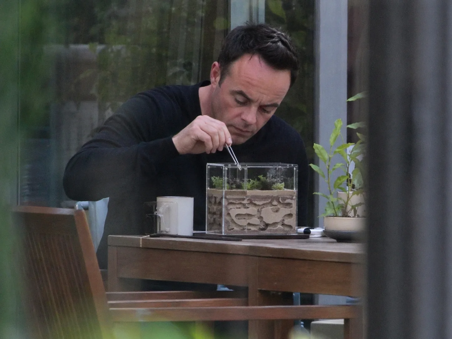 Strange Paparazzi Shots picture 10 of 10