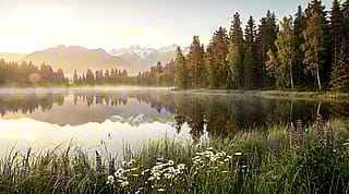 Somewhere between memory and reality'