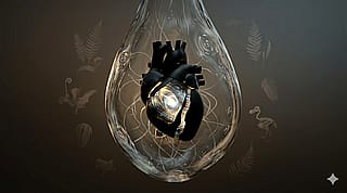 The Anamnestic Seed: Echo of the Void'