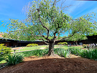 Wanted something simple'