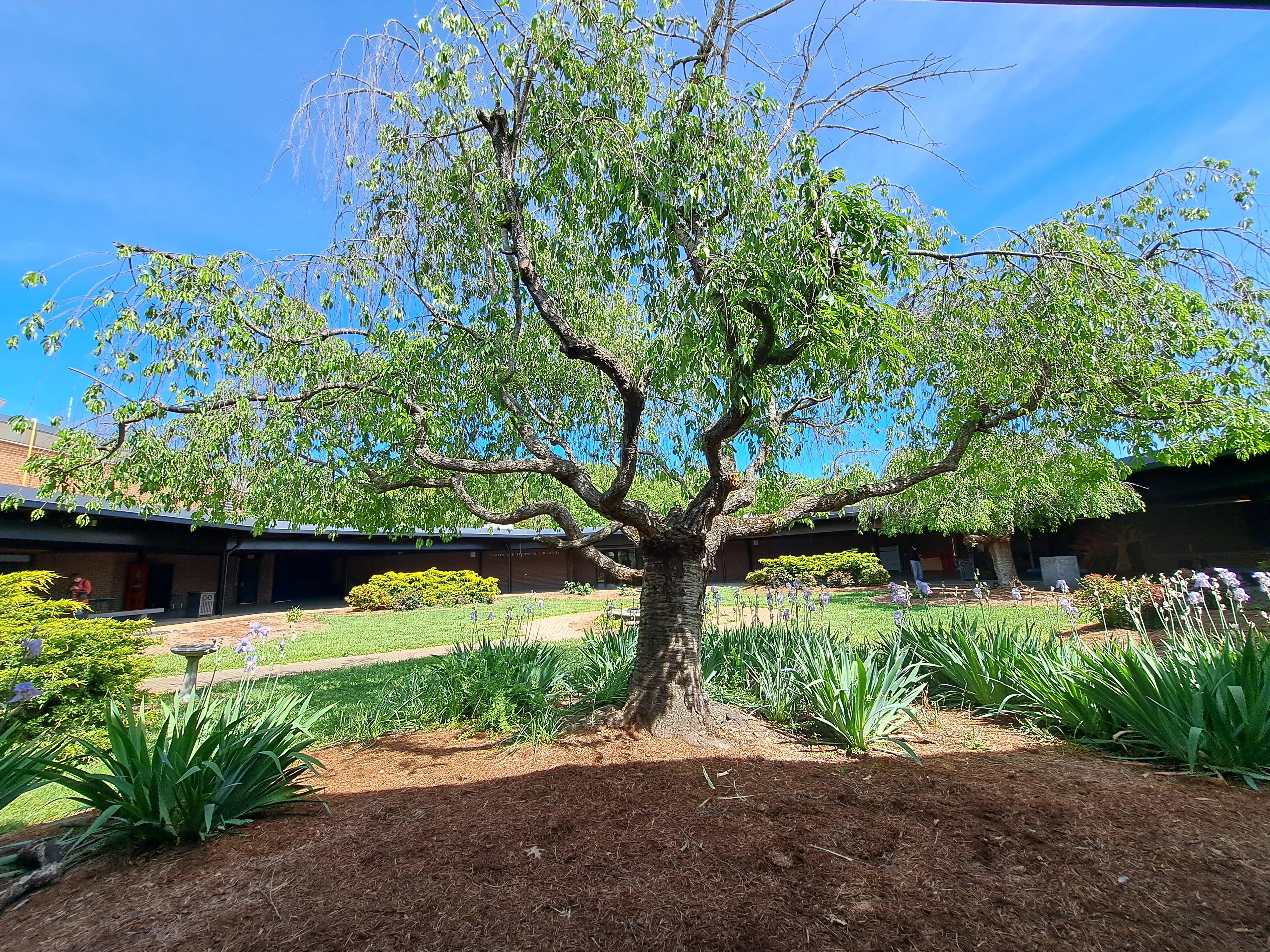 Wanted something simple picture 1 of 1