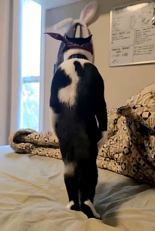 Best way to make vids like this?'