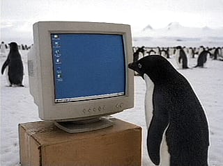Penguin on a old monitor'