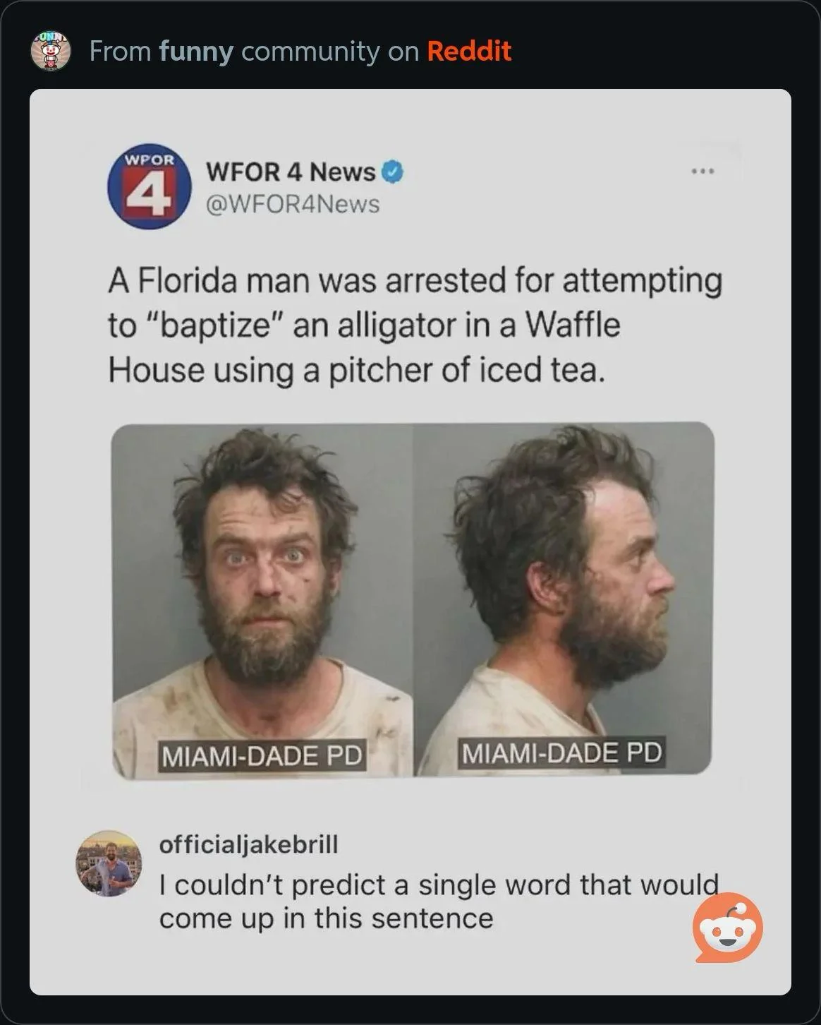 Florida Man picture 2 of 2