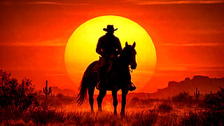 Cowboy Ride - Inspired'
