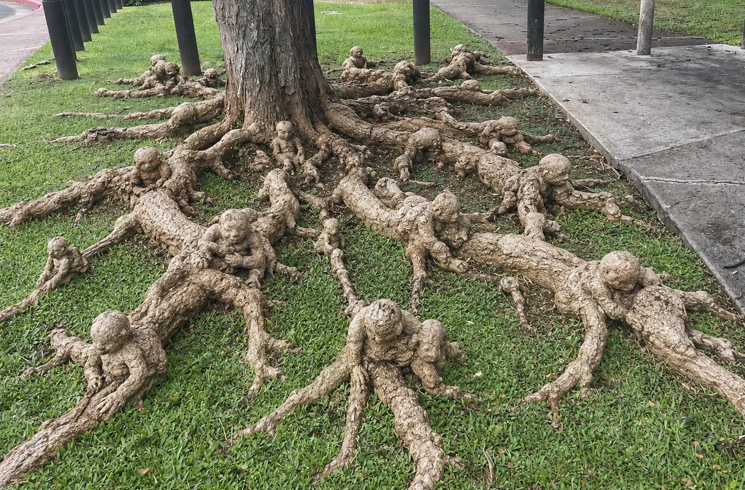 A walk in the park. Don’t Trip - these are our roots picture 1 of 1