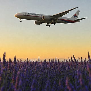 Boeing 777 Takeoff shown in a lavender field.'