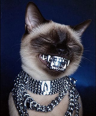 Do you guys like this blinged out Siamese cat I made? (AI)'