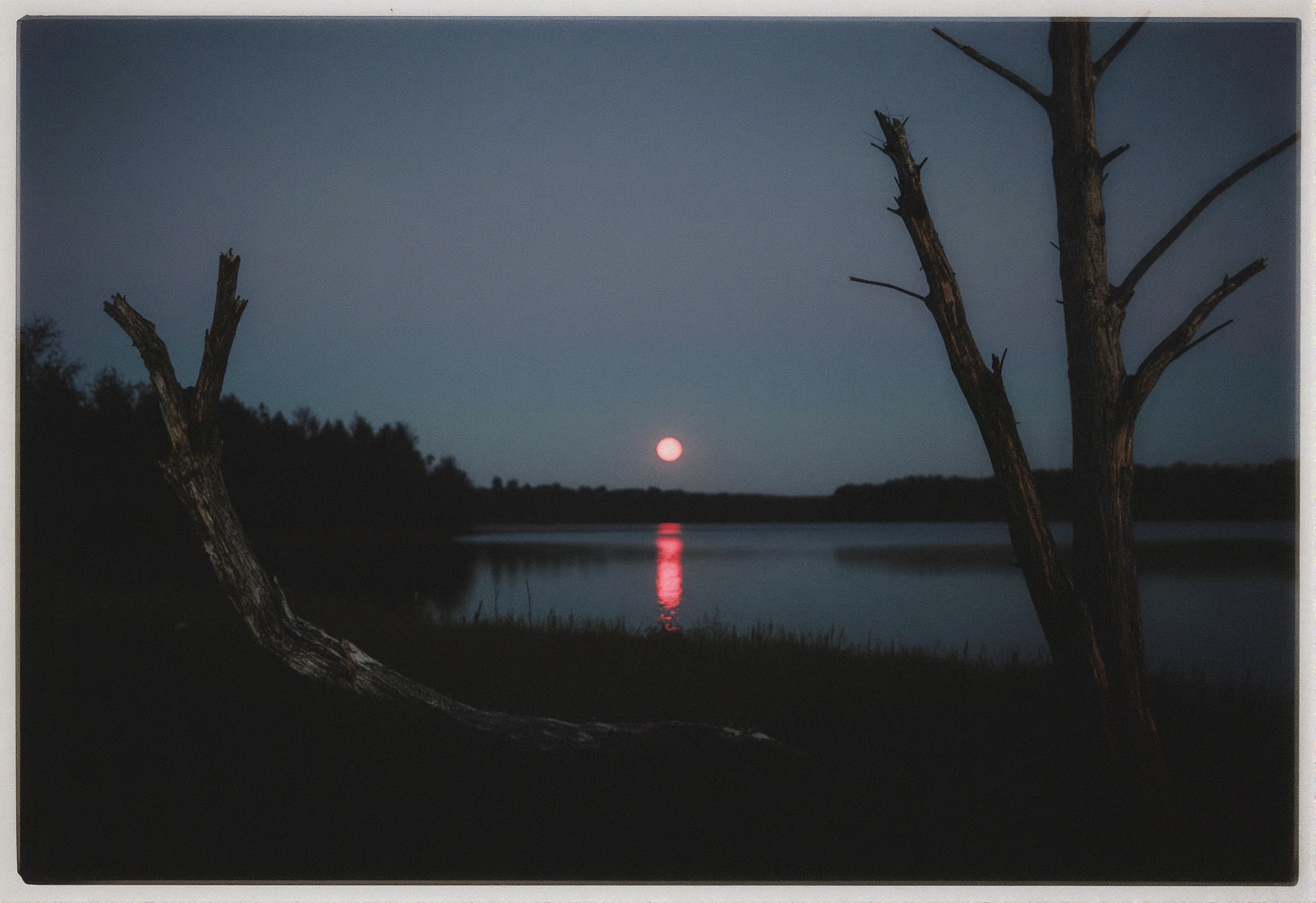 Tis but a Landscape. picture 1 of 1