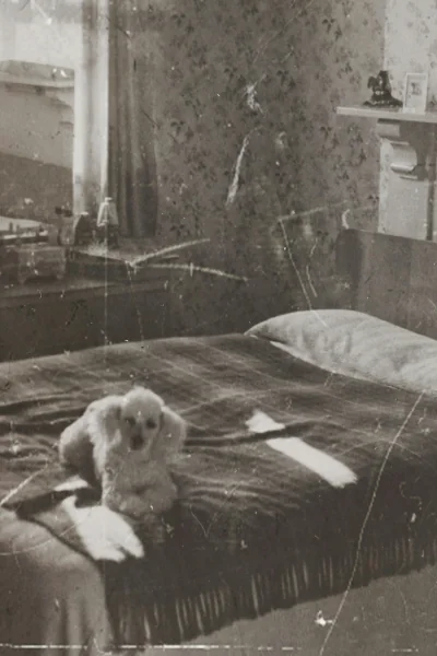 Recovered lost colors, sharpened faces and repaired damaged areas.thanks ai picture 2 of 10