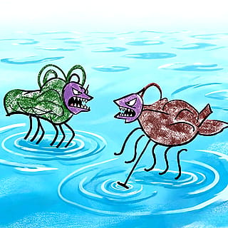 Two angry bugs having a standoff — hand drawn + AI colored'