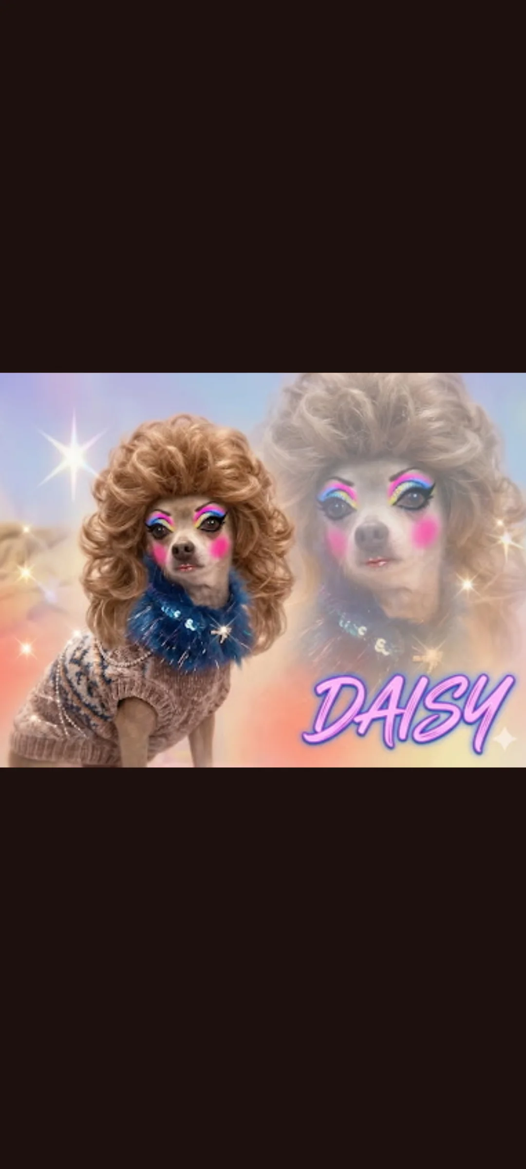 my daisy dog is starting a pet glamour shot craze.. picture 1 of 1