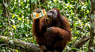 Tang'