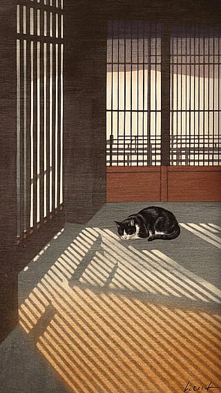 Cat Sleeping Under Lattice Light / Phone Wallpaper Archives'