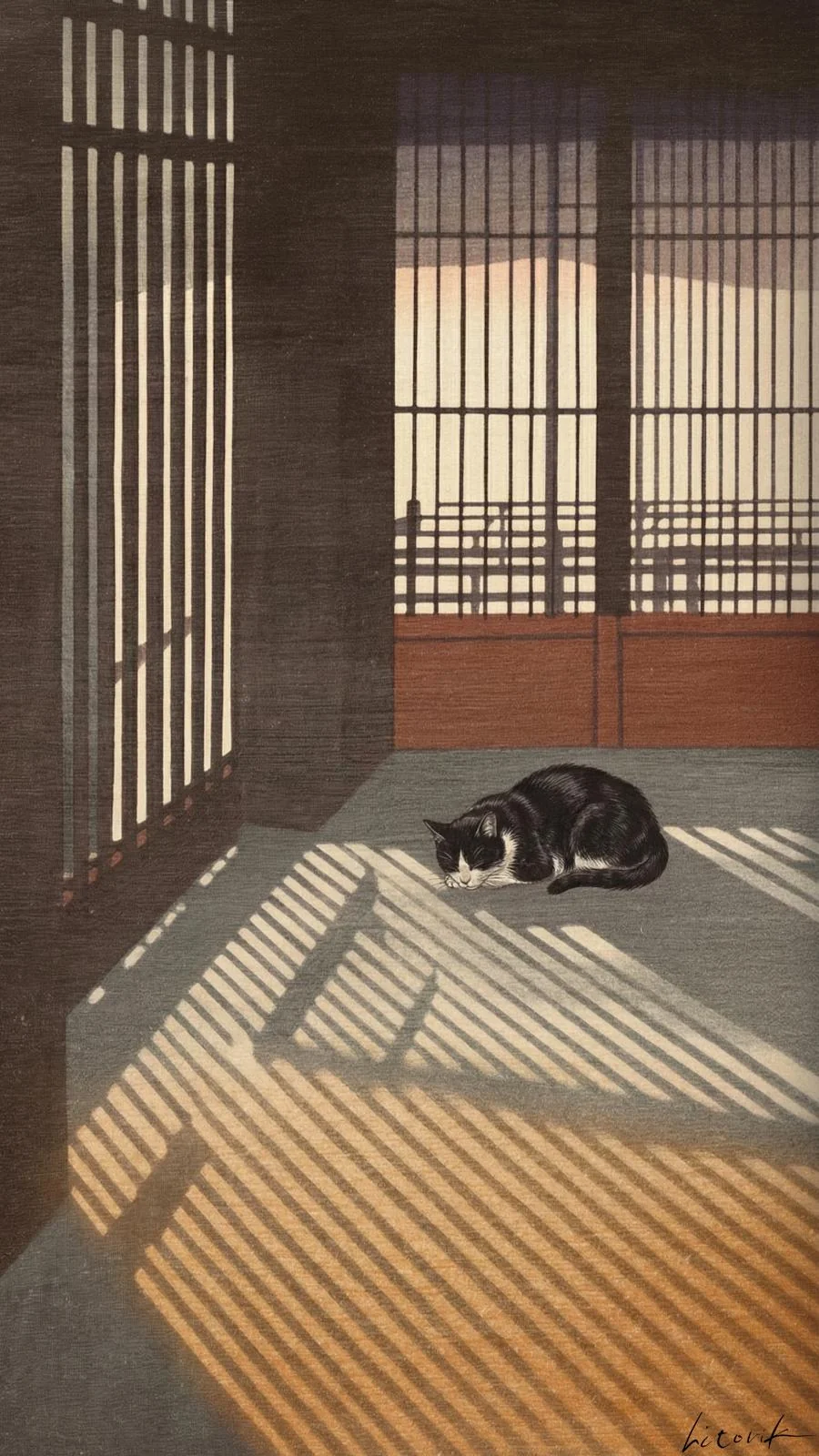 Cat Sleeping Under Lattice Light / Phone Wallpaper Archives picture 1 of 1