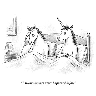 Unicorn'