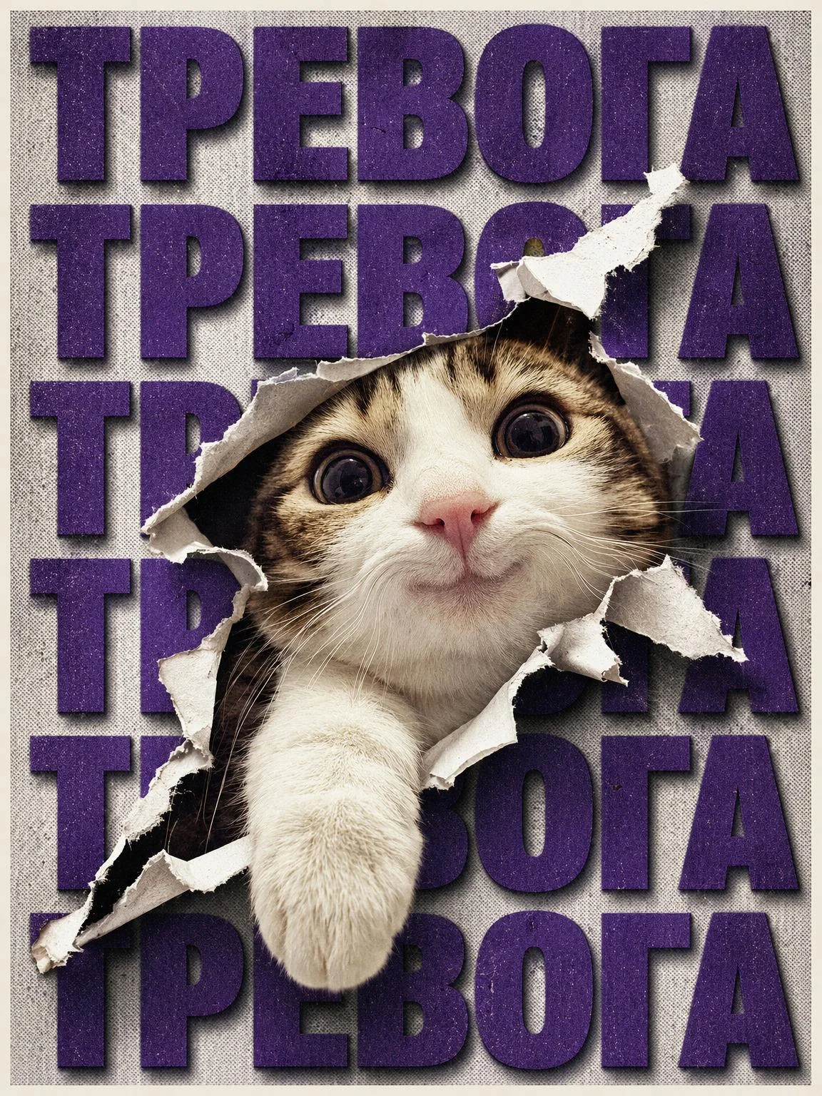 Posters with cats picture 1 of 4