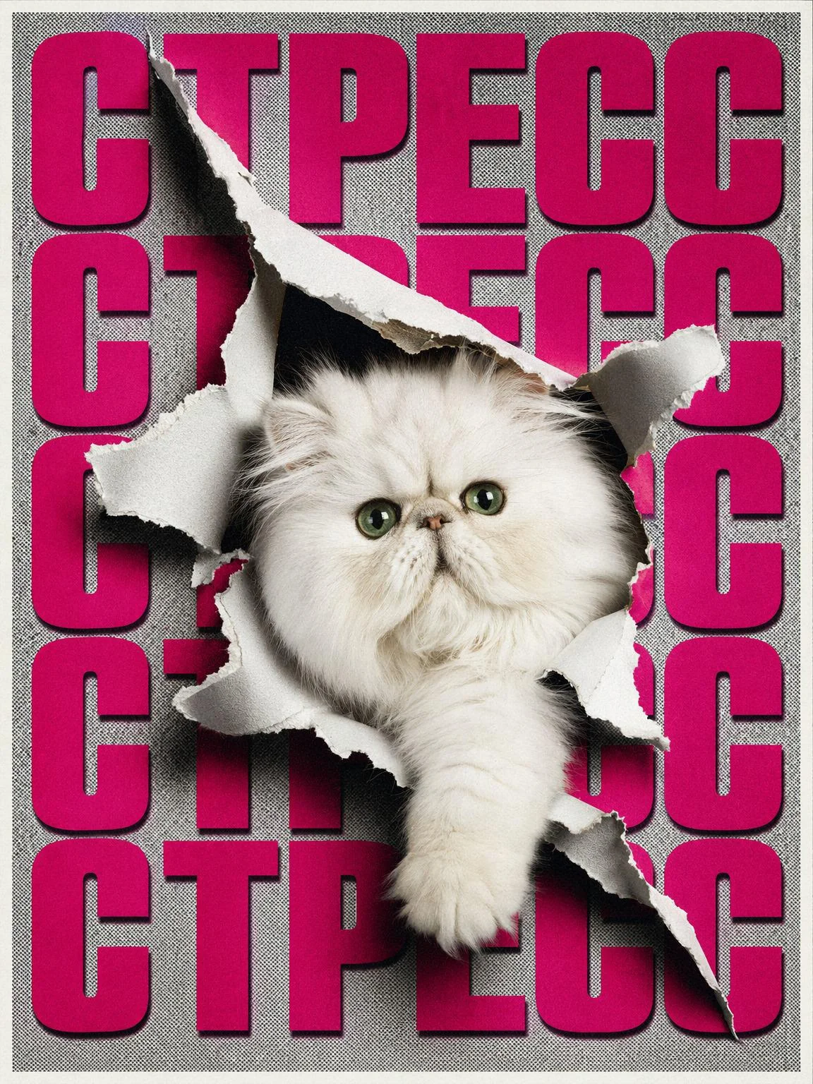 Posters with cats picture 3 of 4