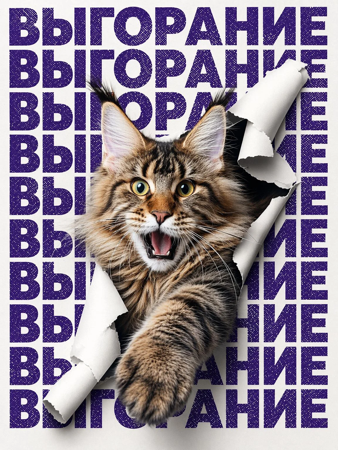 Posters with cats picture 4 of 4