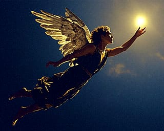 Icarus'