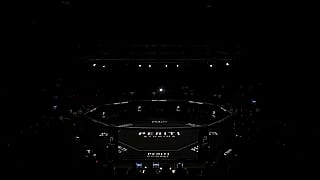 MMA AI generated fight'