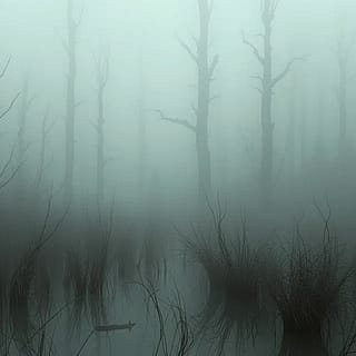 Creepy bog with fog'