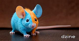 Orange and Blue Mouse [Cortez)]'