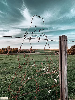 Someone messed up the barb wire fence...'