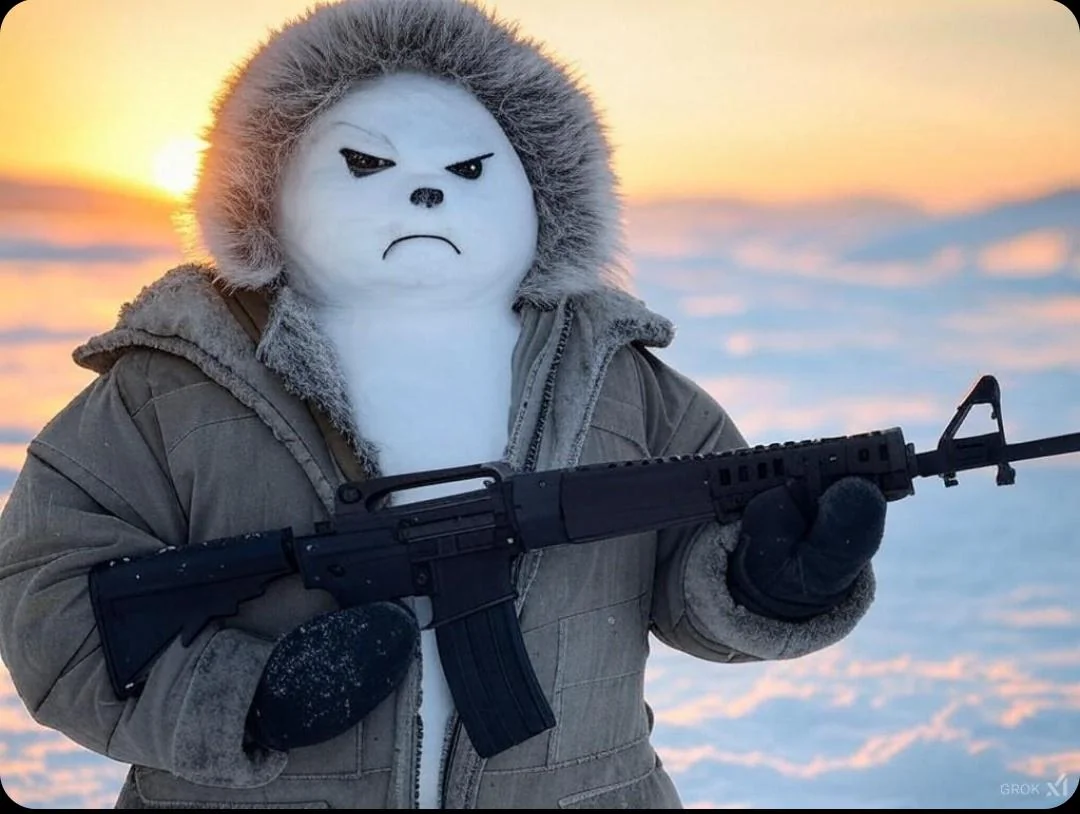 A soldier of Greenland special forces, 2024 picture 1 of 1