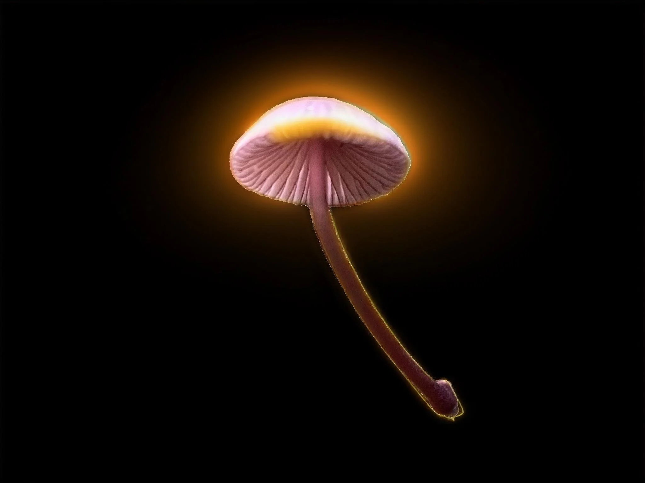 Mystic Mushroom picture 1 of 1