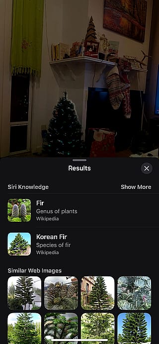 My phone thinks my grandparents 10-15 yr old fake Costco mini tree is as real…'