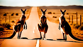 Australian kangaroos, in the outback. Hopping along side the road. The sun is shining bright in the blue sky. The road is unpaved with tire tracks leading to the horizon.'