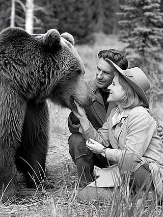 Suddenly a big bear came towards us. We were scared at first, but soon we realized that it just wanted to taste our lunch bag'