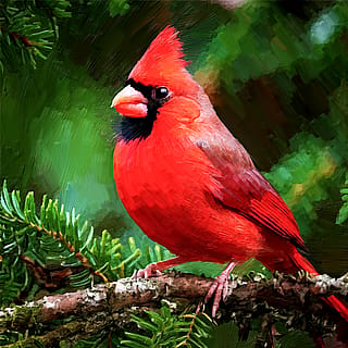 I painted a cardinal, how do you like it?'