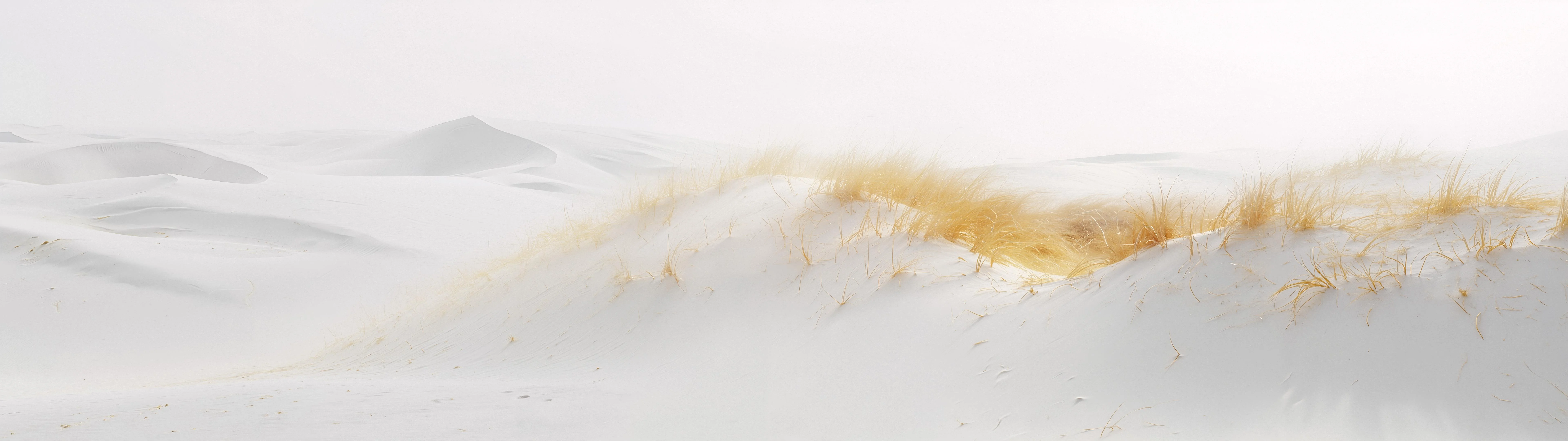 Wallpaper weekly drop 02/16 (21:9 & 32:9) [7680x2160] - Flux picture 14 of 20