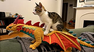 prompt: cat riding a dragon'