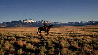 Out on the Montana range. Sora'