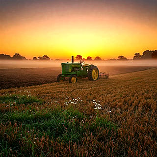 Plowing at dawn.'