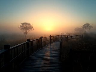 Serene sunset over a boardwalk'