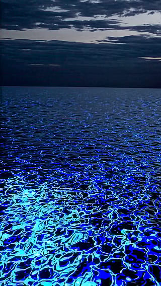ocean'