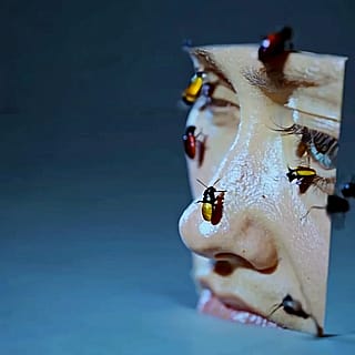I've Smoked Too Much Man'