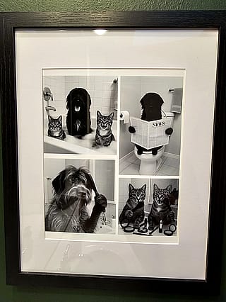 Surprise bathroom art for my wife'