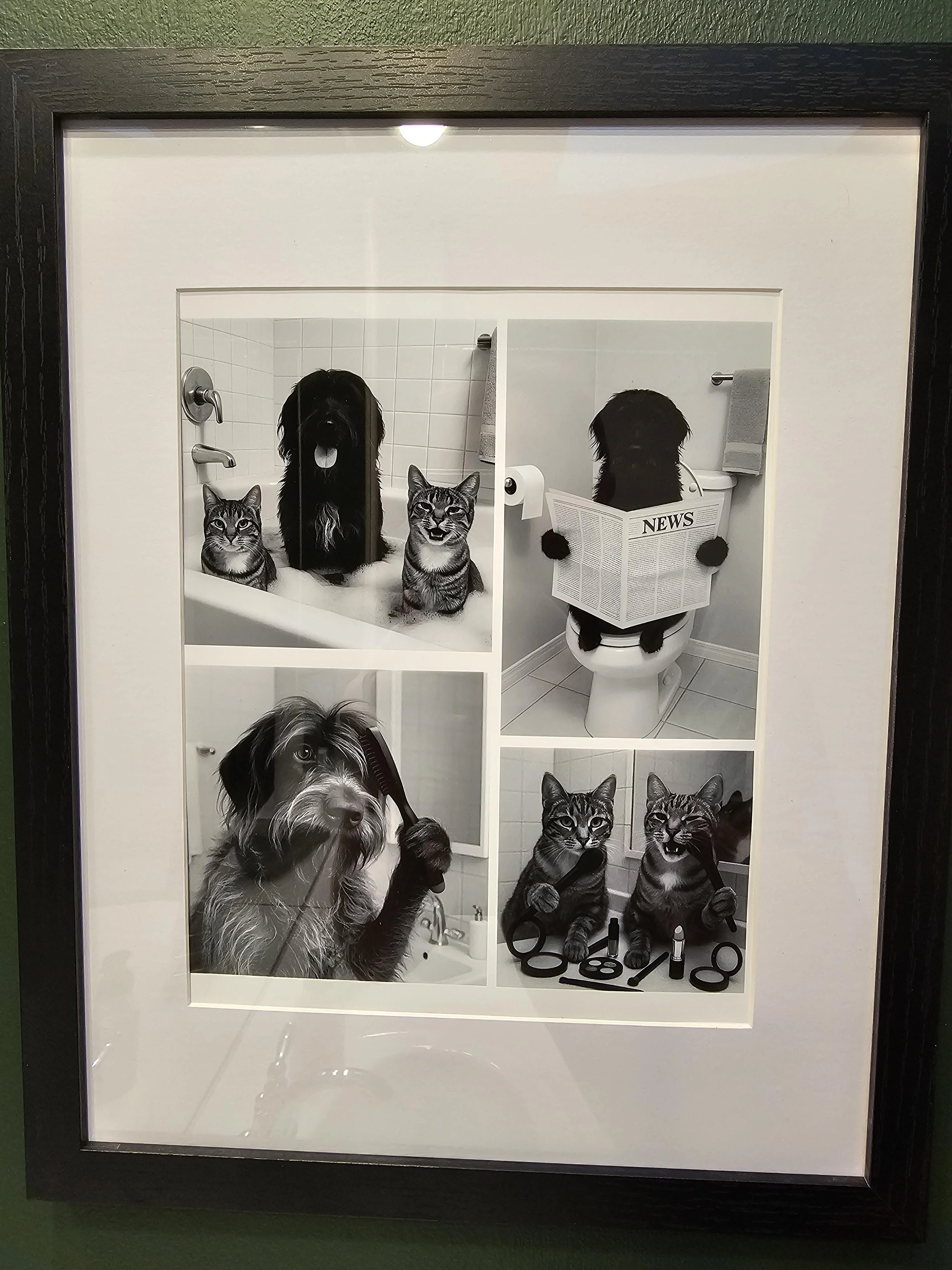 Surprise bathroom art for my wife picture 1 of 1