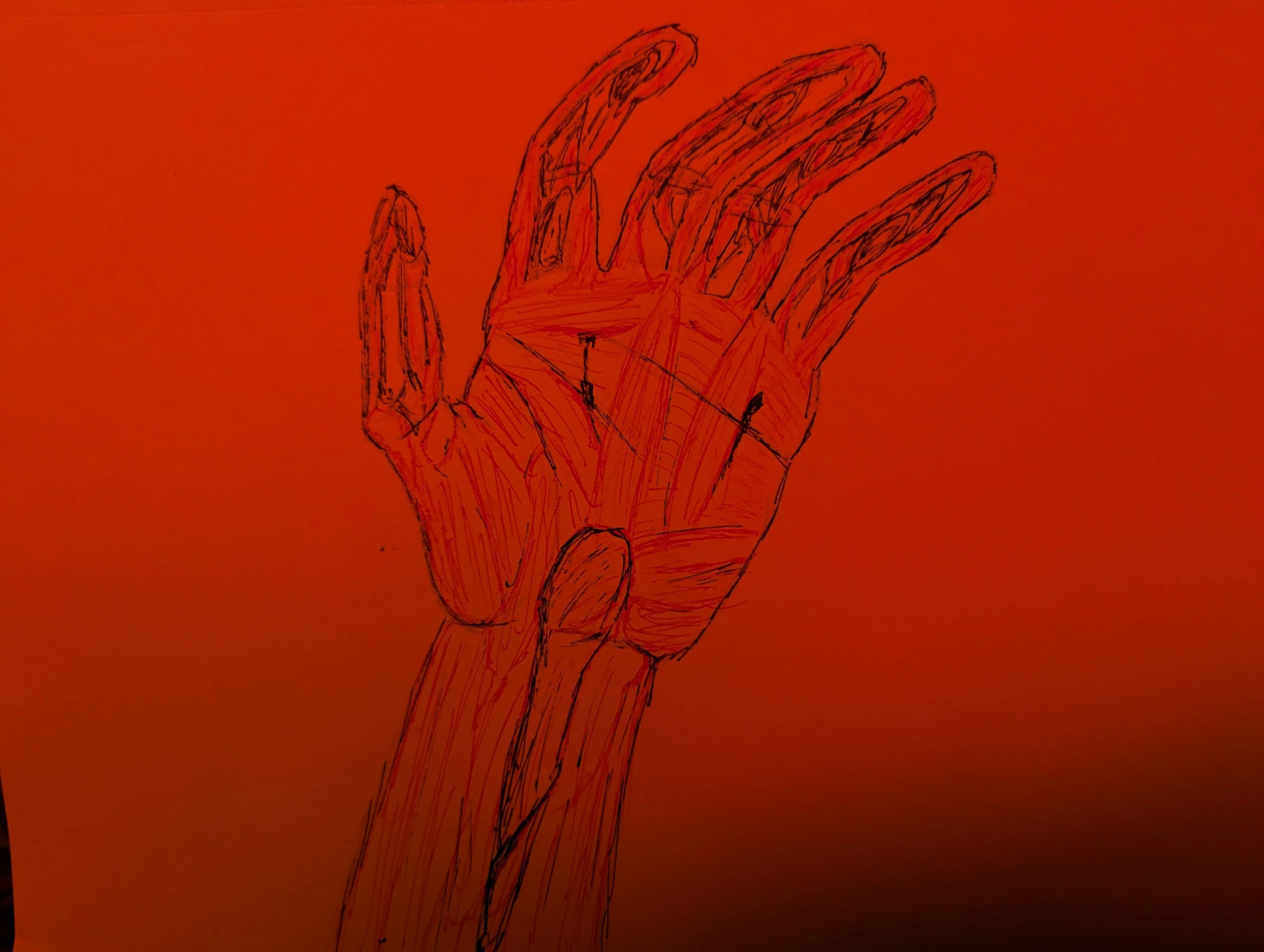 Physical and digital mix picture 3 of 3