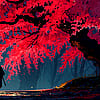 next post