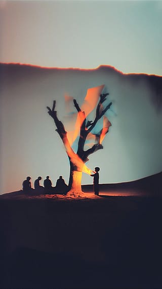 photgraphy and art'