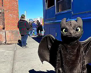 Toothless in Feb in Brooklyn'
